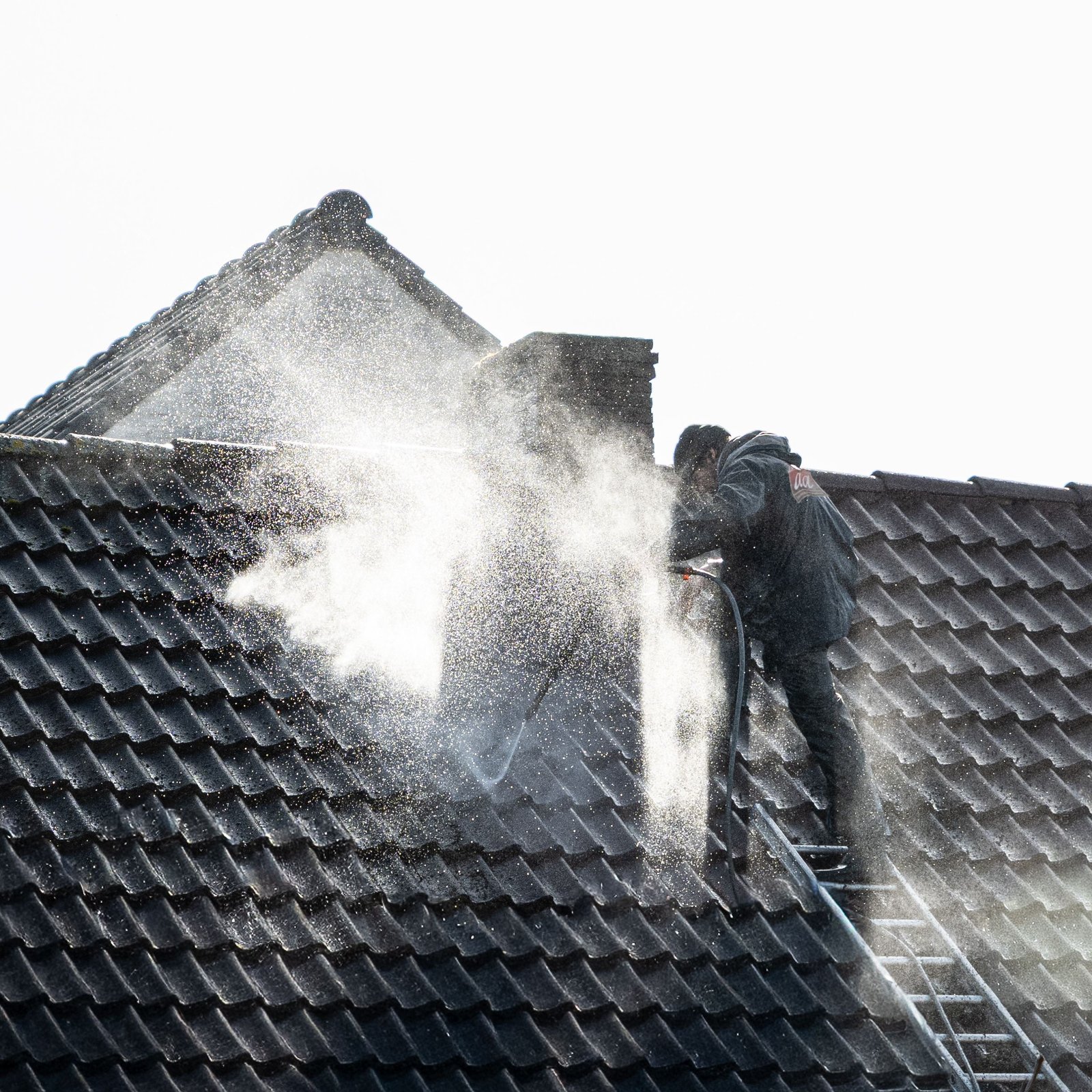 Roof Cleaning (Soft Wash) in Jacksonville, FL